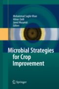 Microbial Strategies for Crop Improvement (       -   )